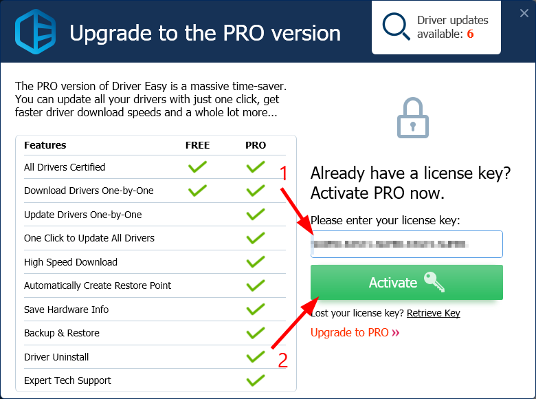 DriverEasy Pro 5.7.0.39448 Crack + License Key Download